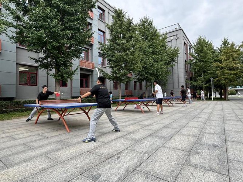 寻找孩子的未来：体育培训的选择与价值