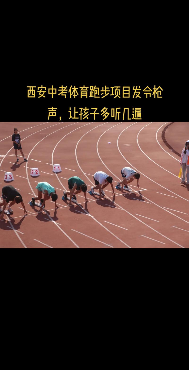 寻找孩子的未来：体育培训的选择与价值